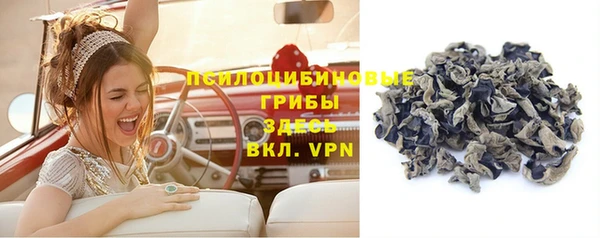 бошки Абинск