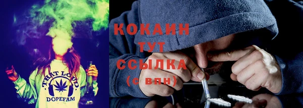 бошки Абинск