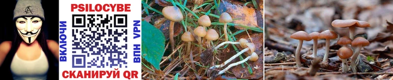 Галлюциногенные грибы Magic Shrooms  Донецк 
