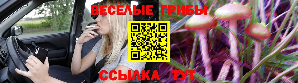 Донецк  Галлюциногенные грибы Psilocybe  Галлюциногенные грибы GOLDEN TEACHER  Вход с VPN 